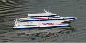 condor_banner